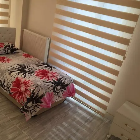 Aysenur Villa Sapanca